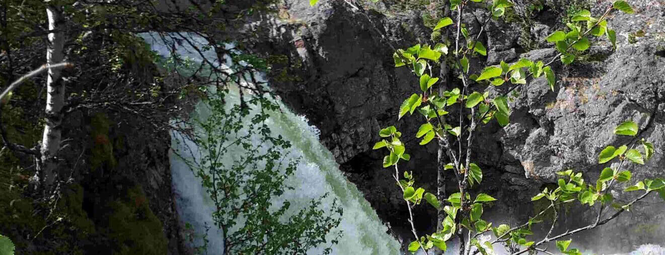 Fossende vann i naturen med grønne løv og stein, skaper en vakker og fredelig utendørs scene, ideell for friluftsliv, naturopplevelser og ekspedisjoner i Norge.
