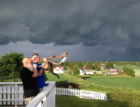 Folk som holder i en stor bjørnebjørn som ser ut til å varmes opp under en mørk himmel over norsk landskap.