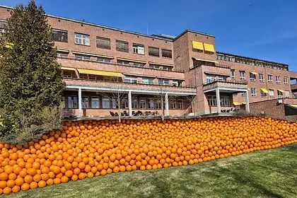 Eksteriør av Sykehuset i Bærum dekket av en stor mengde oransje appelsiner, som en del av en kunstinstallasjon eller dekorasjon, under en klar blå himmel.